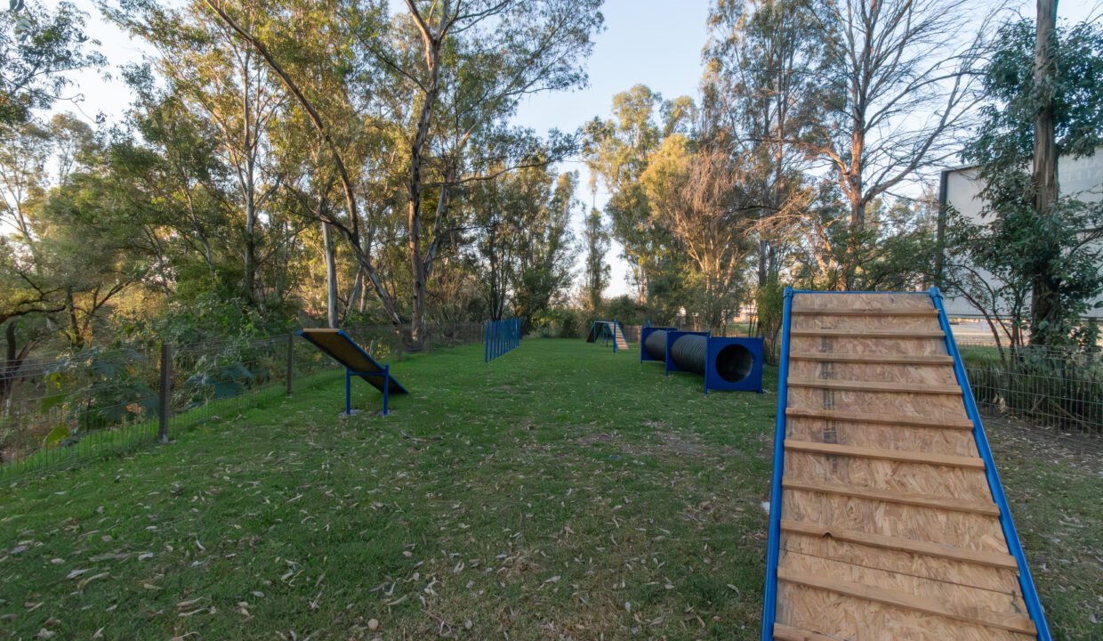 C. Valle Diciembre 2025-04