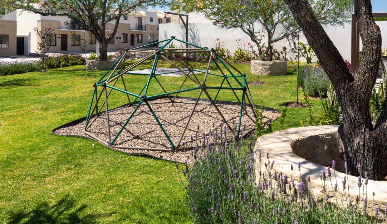 ZonaComún-AMURALLE-Vialli-Qro-Mar2024-9822-edit